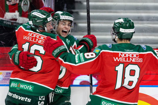 Bläddra bland fler bilder av Ishockey, SHL, Frölunda - Linköping