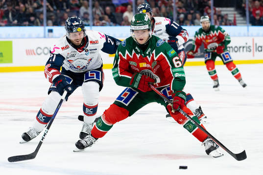 Linköpings Christoffer Ehn och Frölundas Filip Hasa