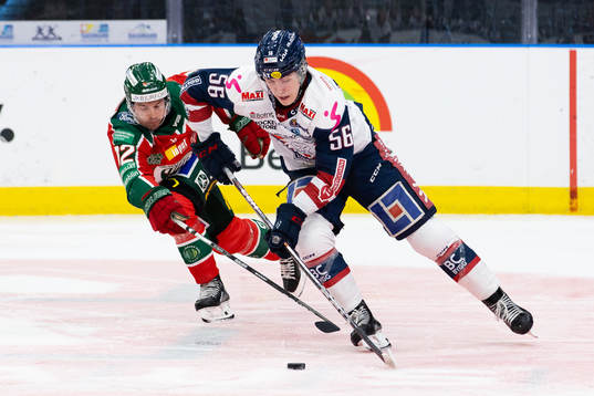 Frölundas Patrik Carlsson och Linköpings Elias Sjöström