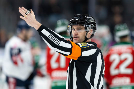 Domare Richard Magnusson