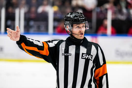 Domare Daniel Eriksson