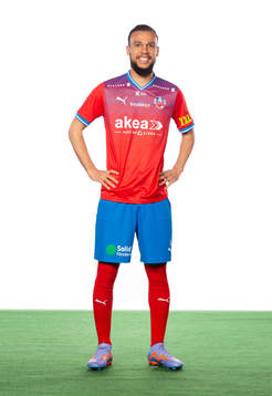 Helsingborgs Sumar Almadjed