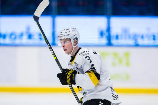 Västerås Ludvig Östman