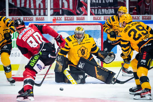 Malmö Redhawks Lance Bouma och Skellefteås målvakt