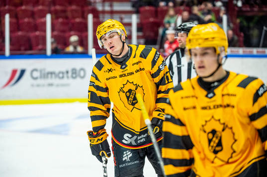 Skellefteås Max Lindholm deppar