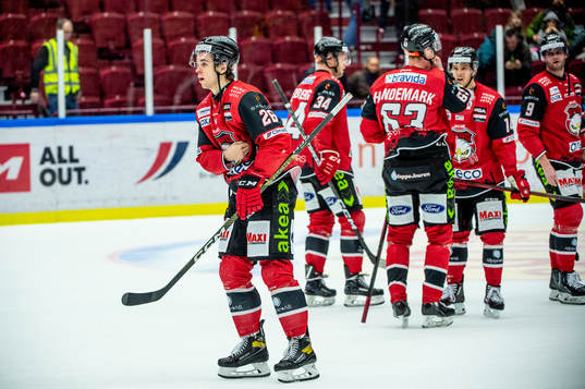 Malmö Redhawks Thomas Schemitsch deppar med lagkamraterna