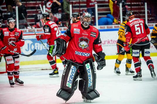 Malmö Redhawks <m31 deppar med lagkamraterna