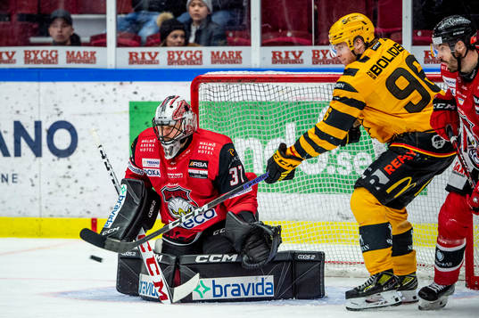 under ishockeymatchen i SHL mellan Malmö Redhawks och
