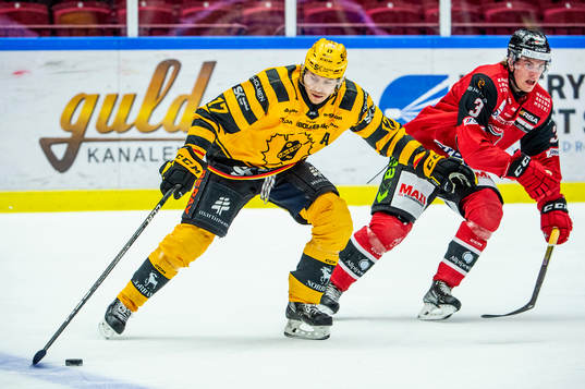 under ishockeymatchen i SHL mellan Malmö Redhawks och