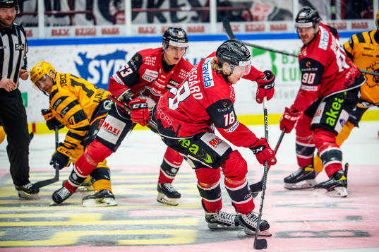 Malmö Redhawks Marcus Sylvegård