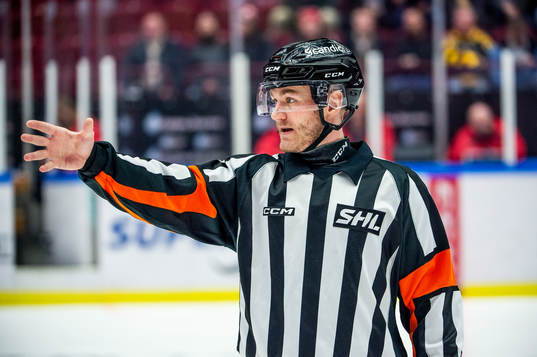 Domare Daniel Eriksson