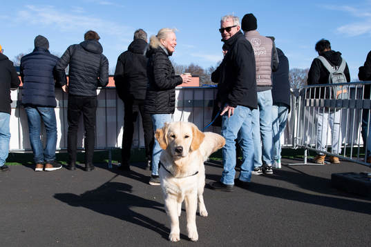 En hund