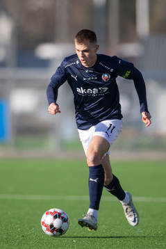 Helsingborgs Erik Ring