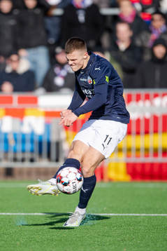 Helsingborgs Erik Ring