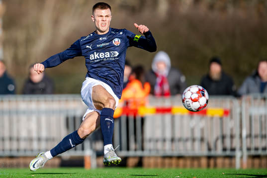 Helsingborgs Erik Ring