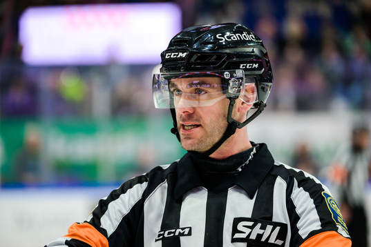 Domare Richard Magnusson