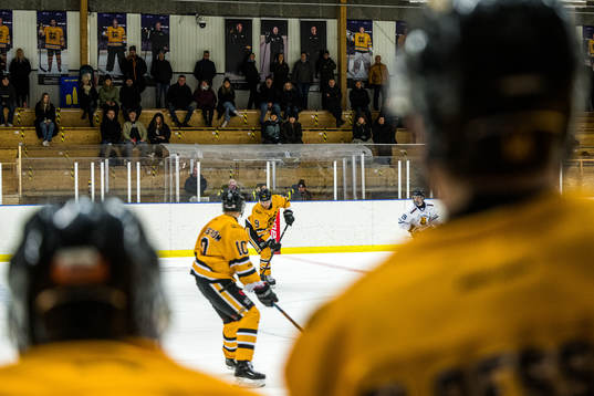 under ishockeymatchen i AllTrean Södra B, Region Syd