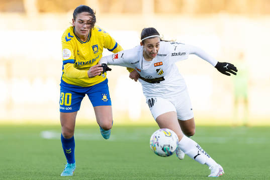 Häckens Rosa Kafaji