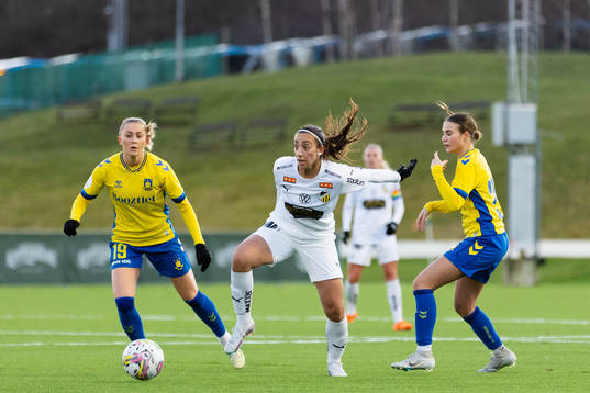 Häckens Rosa Kafaji