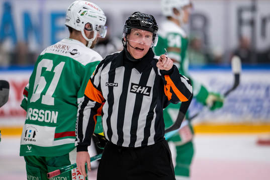 Domare Mikael Holm