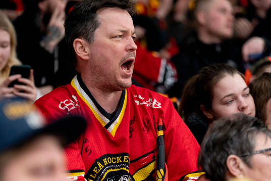Supporter of Luleås
