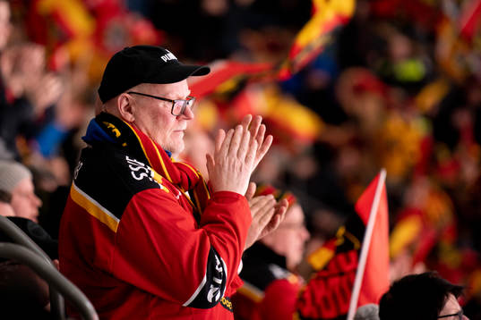 Supporter of Luleå