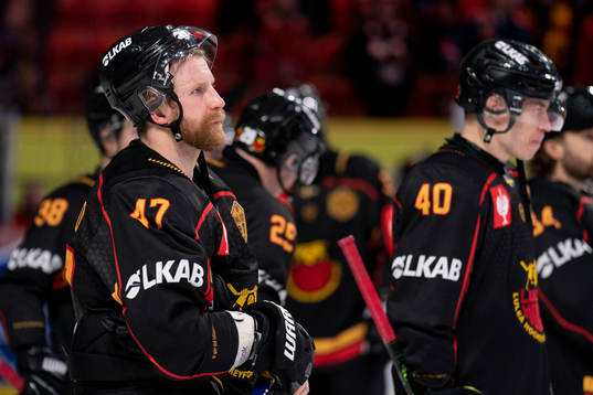 Luleås Leo Komarov looks dejected