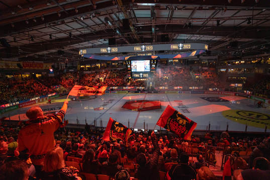 Interior of the arena