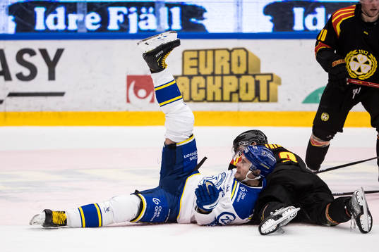 Leksands Mikael Ruohomaa
