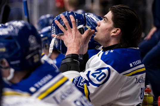 Leksands Lian Bichsel