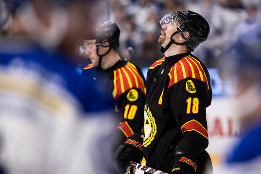 Brynäs Anton Rödin