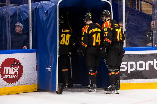 Brynäs spelarna deppar