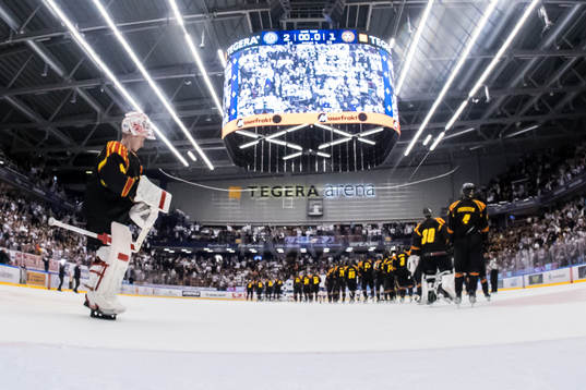 Brynäs spelarna deppar