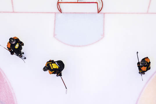 Brynäs spelarna deppar