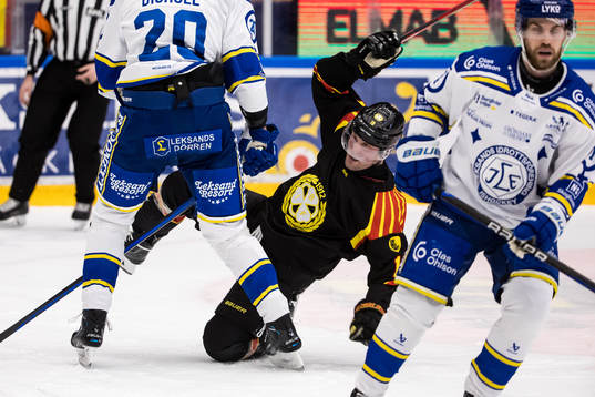 Brynäs Johan Larsson