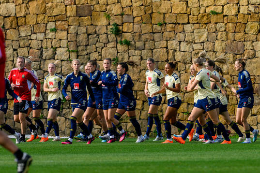 Players of Sweden warm up at a training session with the
