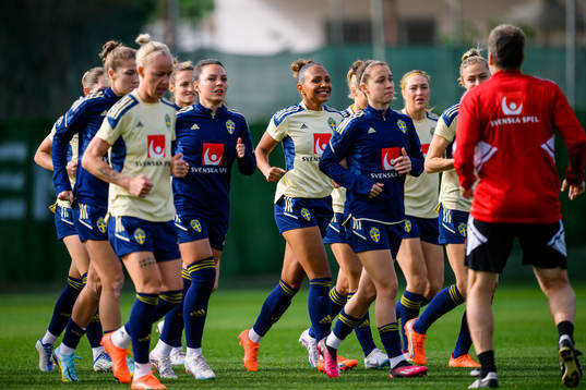 Players of Sweden warm up at a training session with the