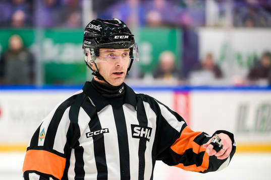 Domare Mikael Andersson