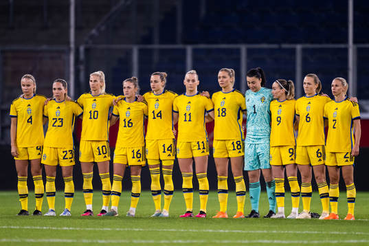 Players of Sweden