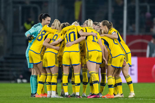 Players of Sweden gather