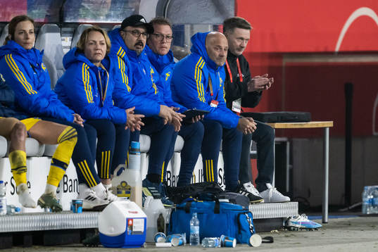 Doctor Houman Ebrahimi, Goalkeeper coach Leif Troedsson,
