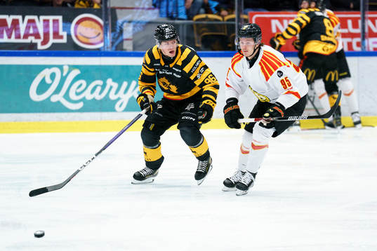 Skellefteås Rickard Hugg och Brynäs Nick Olesen