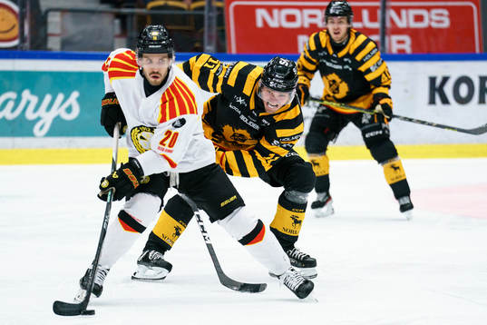 Brynäs Oula Palve och Skellefteås Max Lindholm