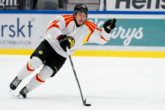 Brynäs Dmytro Timashov