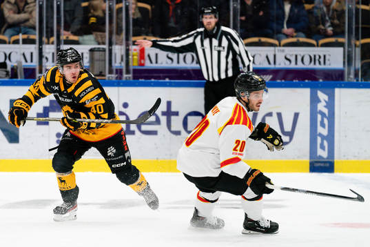 Skellefteås Andreas Wingerli och Brynäs Oula Palve
