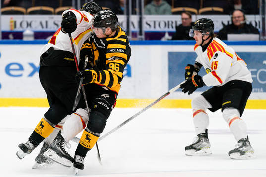 Skellefteås Rickard Hugg och Brynäs Nick Olesen