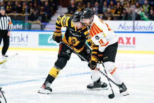 Skellefteås Albin Sundsvik och Brynäs Anton Rödin