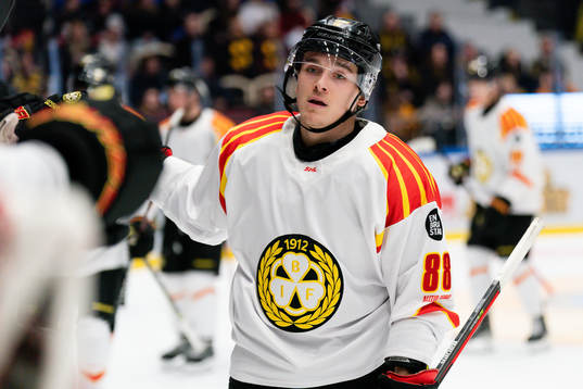 Brynäs Dmytro Timashov jublar