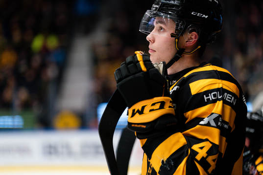 under ishockeymatchen i SHL mellan Skellefteå och Brynäs