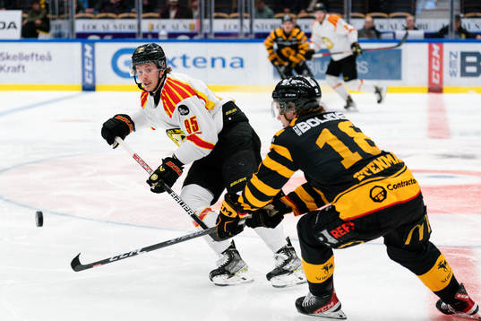 Brynäs Nick Olesen och Skellefteås Elias Stenman